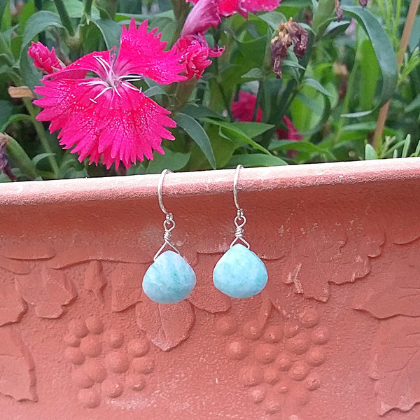 Amazonite Drop Earrings - Rubarb Jewelry